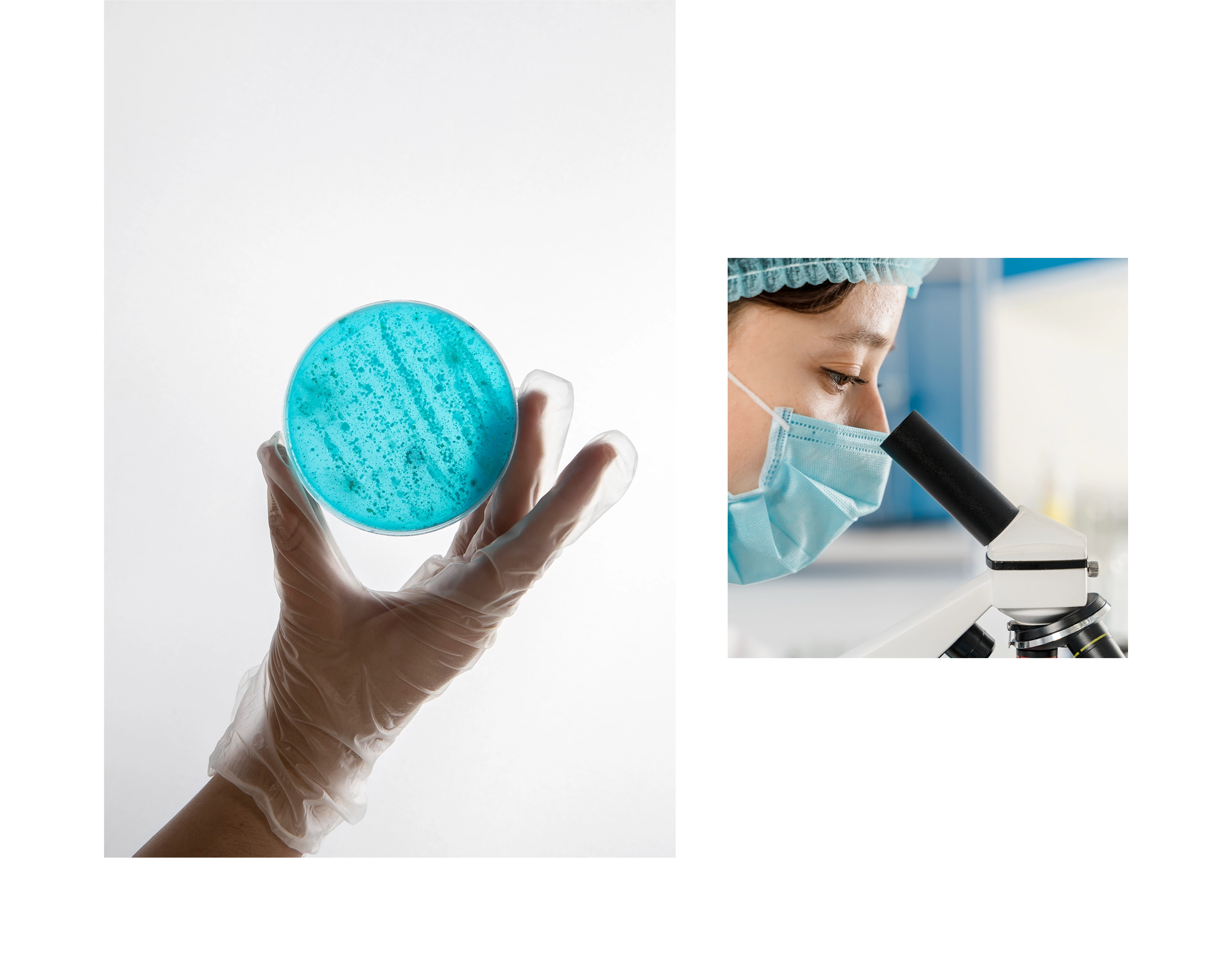 台北 中研院P3實驗室RWD網站系統 網站設計/網站管理系統 電腦版(10) 台北 中研院P3實驗室RWD網站系統 網站設計/網站管理系統 電腦版(10)