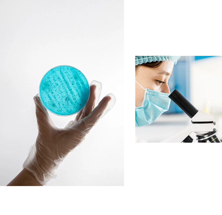 台北 中研院P3實驗室RWD網站系統 網站設計/網站管理系統 手機版(10) 台北 中研院P3實驗室RWD網站系統 網站設計/網站管理系統 手機版(10)