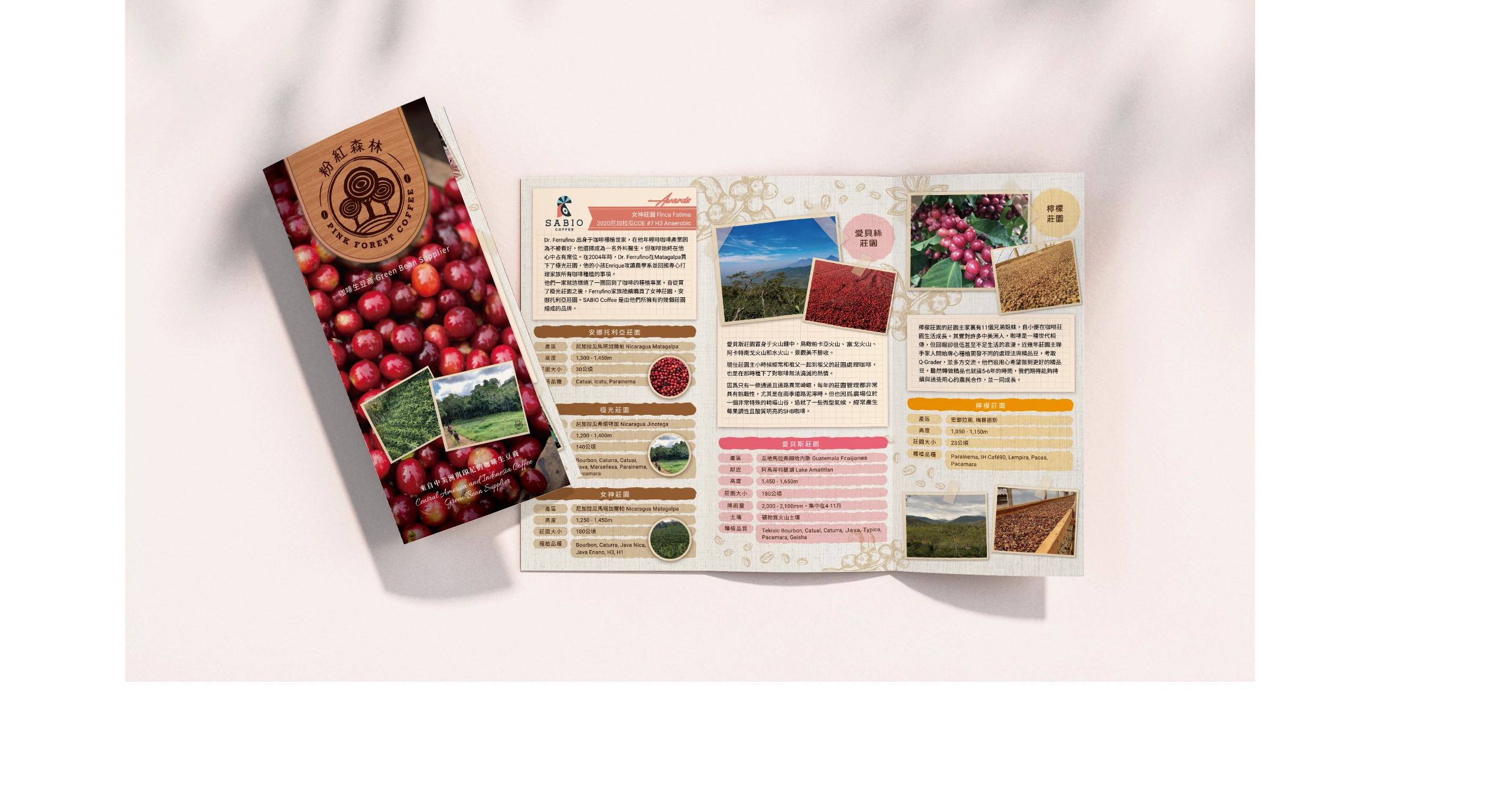 台北 粉紅森林咖啡生豆商 RWD形象官網/網站設計/平面設計/dm設計/型錄設計/展場設計 電腦版(6) 台北 粉紅森林咖啡生豆商 RWD形象官網/網站設計/平面設計/dm設計/型錄設計/展場設計 電腦版(6)
