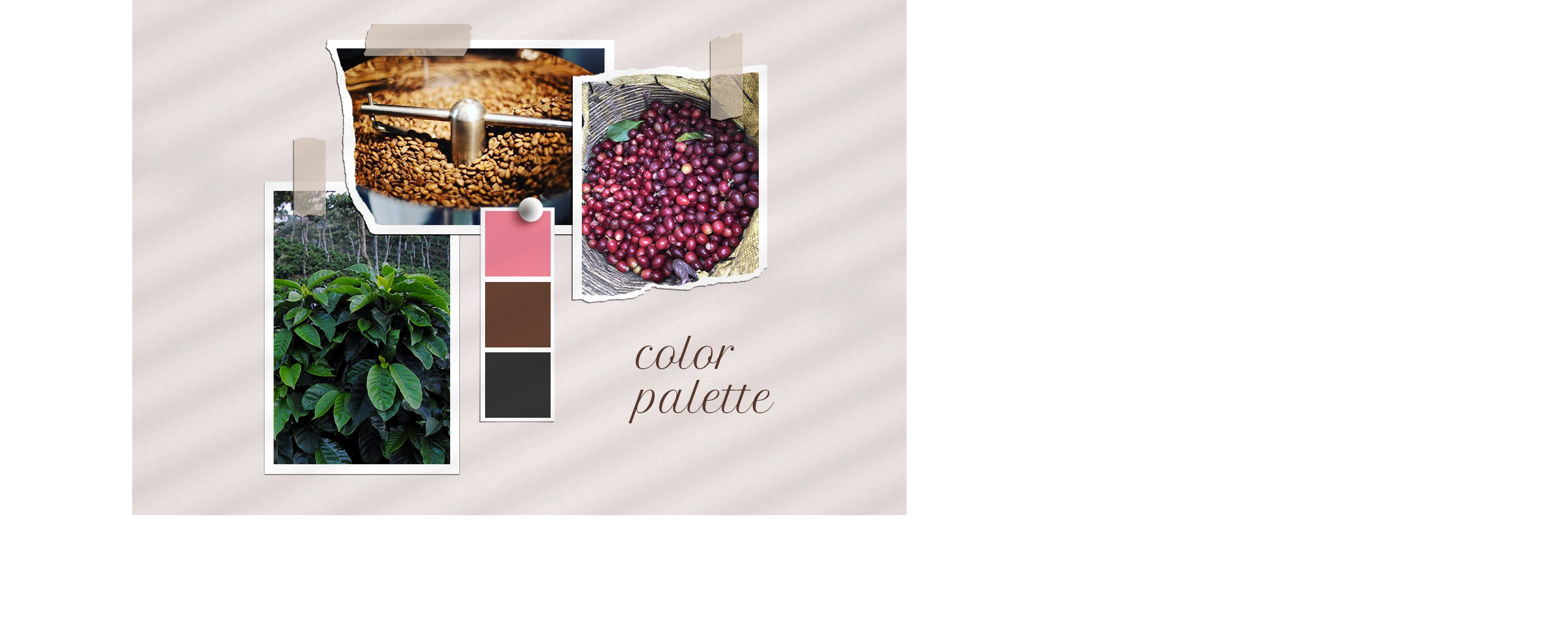 台北 粉紅森林咖啡生豆商 RWD形象官網/網站設計/平面設計/dm設計/型錄設計/展場設計 電腦版(4) 台北 粉紅森林咖啡生豆商 RWD形象官網/網站設計/平面設計/dm設計/型錄設計/展場設計 電腦版(4)