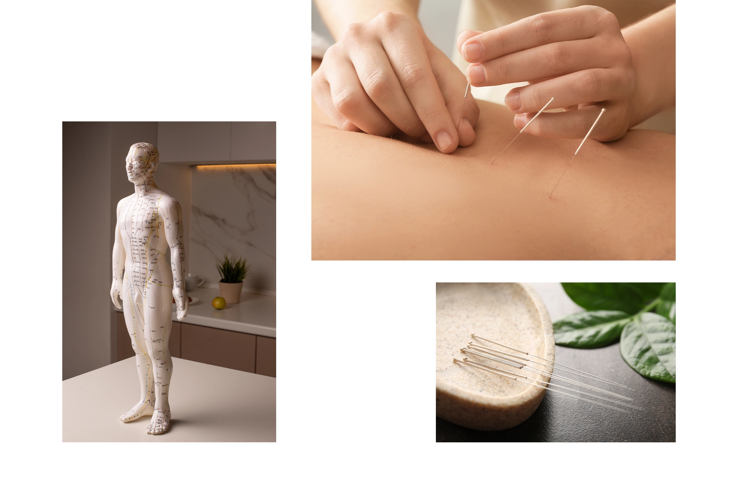 台北仁善美中醫診所 RWD掛號系統網站設計 電腦版(10) 台北仁善美中醫診所 RWD掛號系統網站設計 電腦版(10)