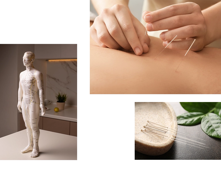 台北仁善美中醫診所 RWD掛號系統網站設計 手機版(10) 台北仁善美中醫診所 RWD掛號系統網站設計 手機版(10)