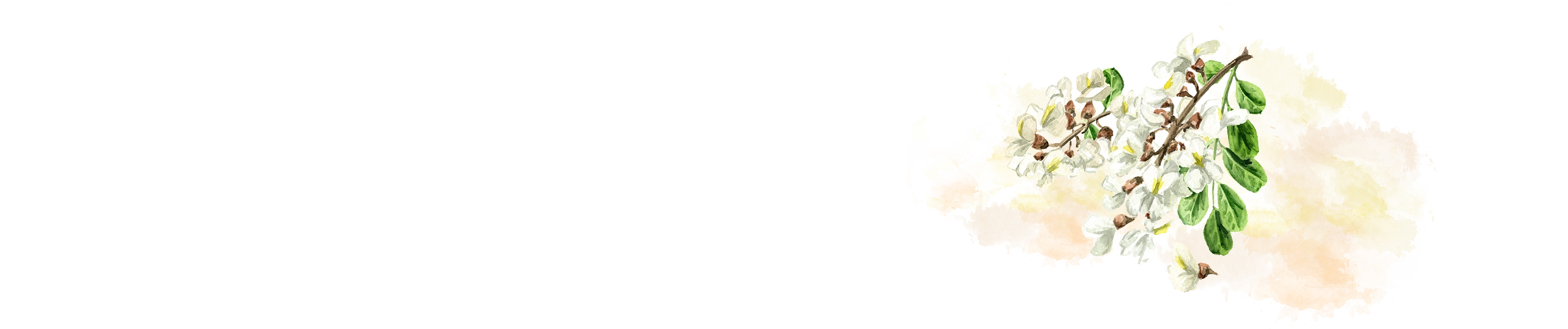 台北仁善美中醫診所 RWD掛號系統網站設計 電腦版(2) 台北仁善美中醫診所 RWD掛號系統網站設計 電腦版(2)