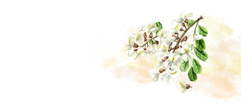 台北仁善美中醫診所 RWD掛號系統網站設計 手機版(2) 台北仁善美中醫診所 RWD掛號系統網站設計 手機版(2)