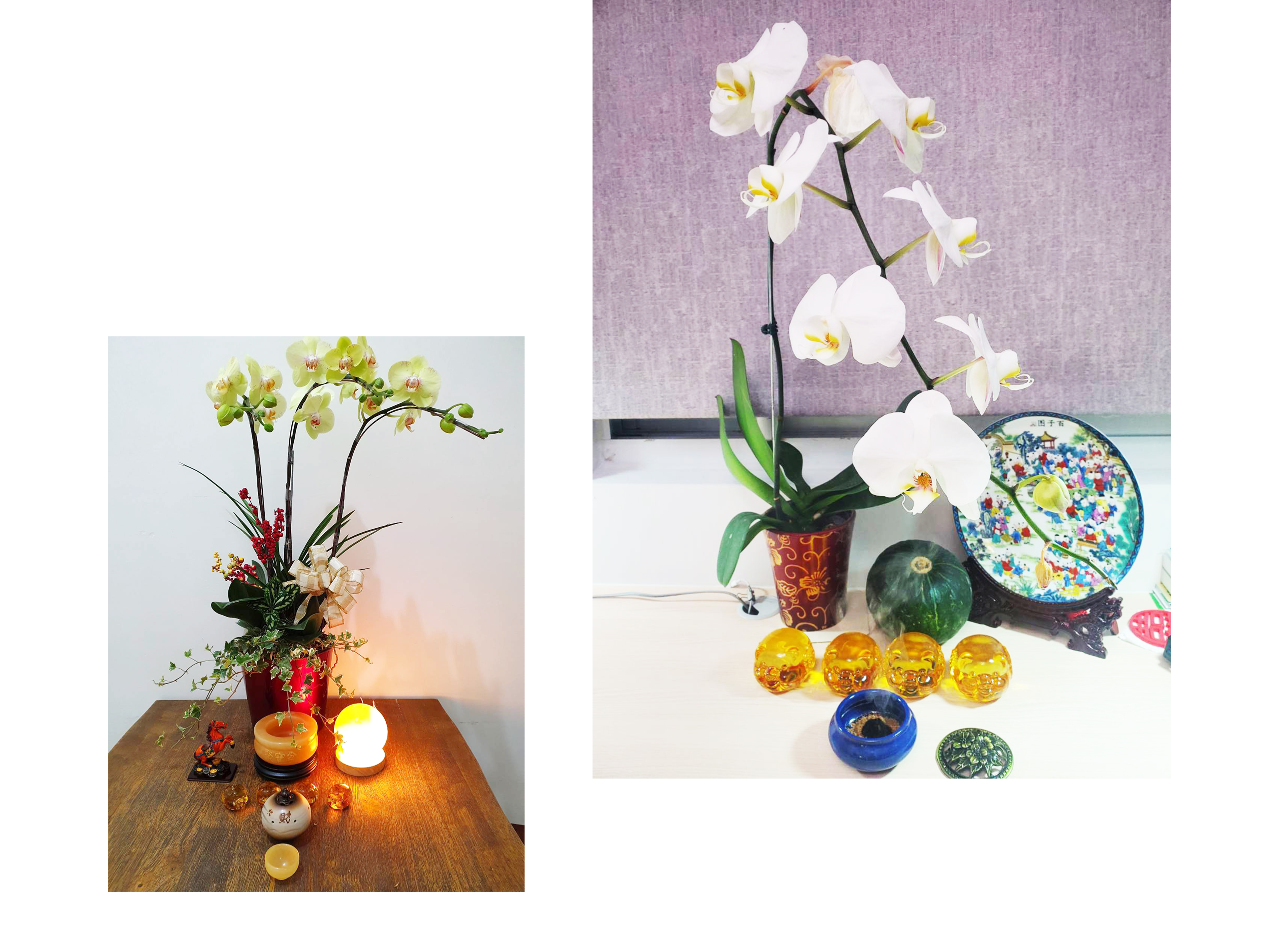 諭方老師奇門異數 RWD形象官網 / 企業網站 / 形象網站 / 官方網站 電腦版(10)
諭方老師奇門異數 RWD形象官網 / 企業網站 / 形象網站 / 官方網站 電腦版(10)