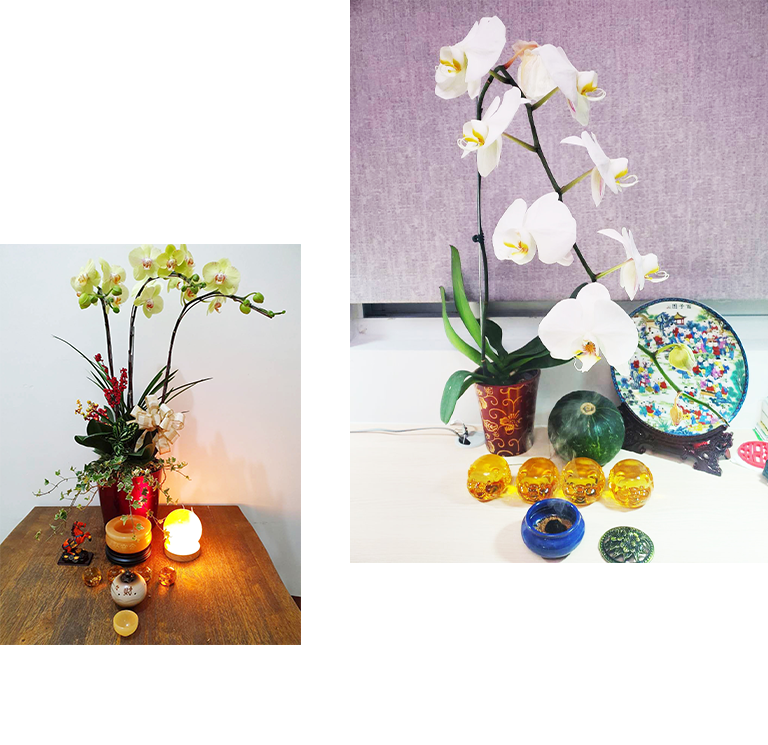 諭方老師奇門異數 RWD形象官網 / 企業網站 / 形象網站 / 官方網站 手機版(10)
諭方老師奇門異數 RWD形象官網 / 企業網站 / 形象網站 / 官方網站 手機版(10)