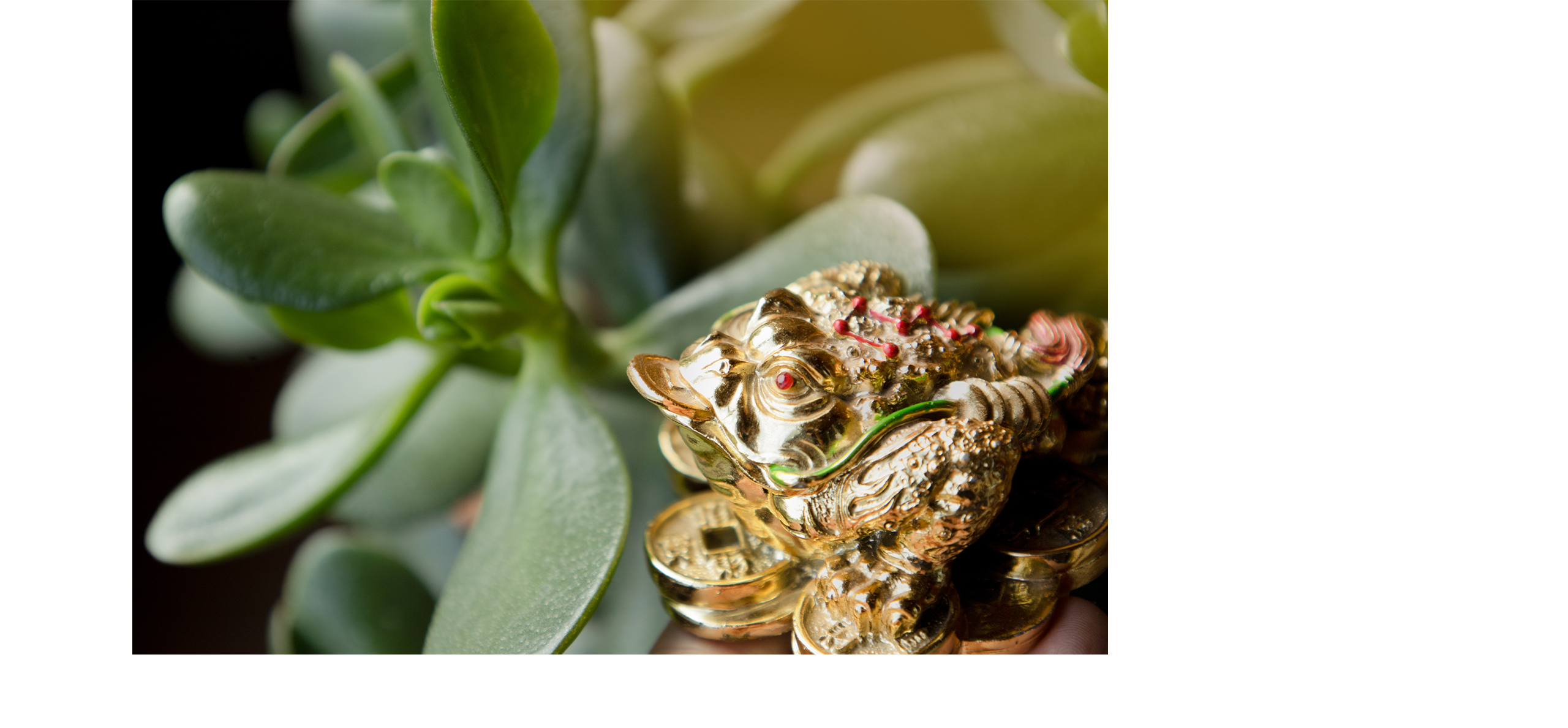 諭方老師奇門異數 RWD形象官網 / 企業網站 / 形象網站 / 官方網站 電腦版(9)
諭方老師奇門異數 RWD形象官網 / 企業網站 / 形象網站 / 官方網站 電腦版(9)