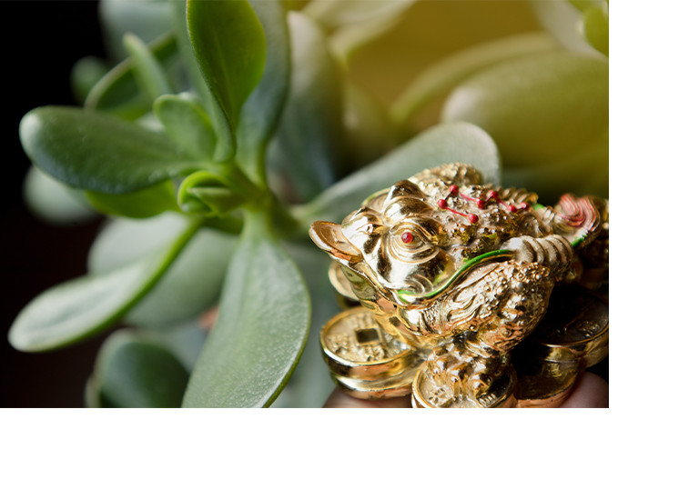 諭方老師奇門異數 RWD形象官網 / 企業網站 / 形象網站 / 官方網站 手機版(9)
諭方老師奇門異數 RWD形象官網 / 企業網站 / 形象網站 / 官方網站 手機版(9)