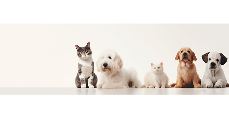 福樂寵|科研養寵生活家 品牌設計 / ci設計 / vi設計 / logo設計 / 平面設計 / 型錄設計 / 展場設計手機版(6)
福樂寵|科研養寵生活家 品牌設計 / ci設計 / vi設計 / logo設計 / 平面設計 / 型錄設計 / 展場設計手機版(6)