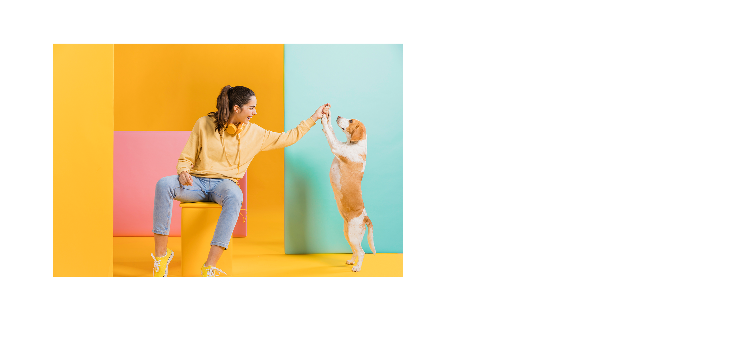 福樂寵|科研養寵生活家 品牌設計 / ci設計 / vi設計 / logo設計 / 平面設計 / 型錄設計 / 展場設計電腦版(4)
福樂寵|科研養寵生活家 品牌設計 / ci設計 / vi設計 / logo設計 / 平面設計 / 型錄設計 / 展場設計電腦版(4)