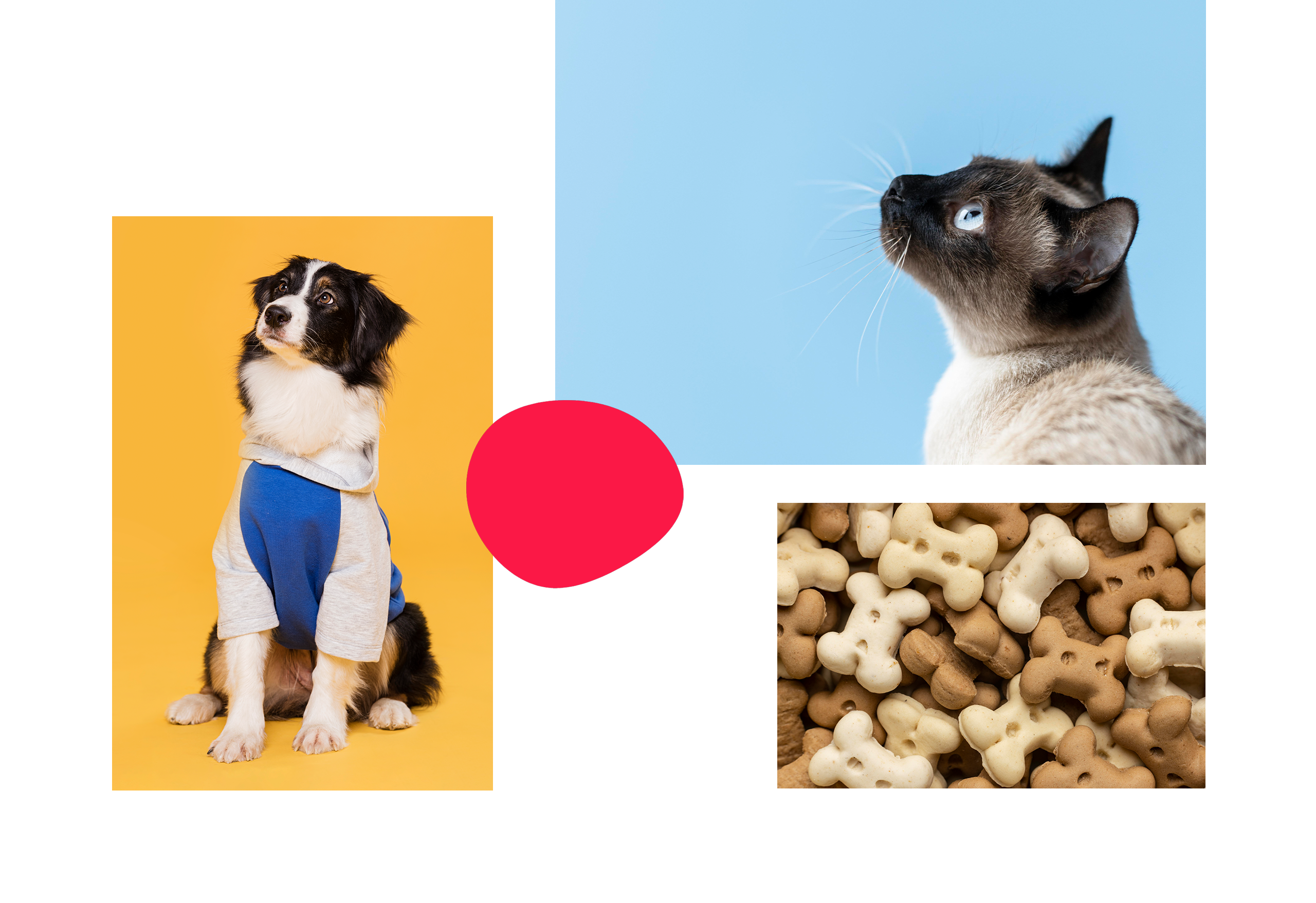 福樂寵 PET LOVE CARE RWD形象官網 [RWD網站設計 / 網頁設計 / UIUX設計 / 動態網站設計 / 形象網站設計]電腦版(5)